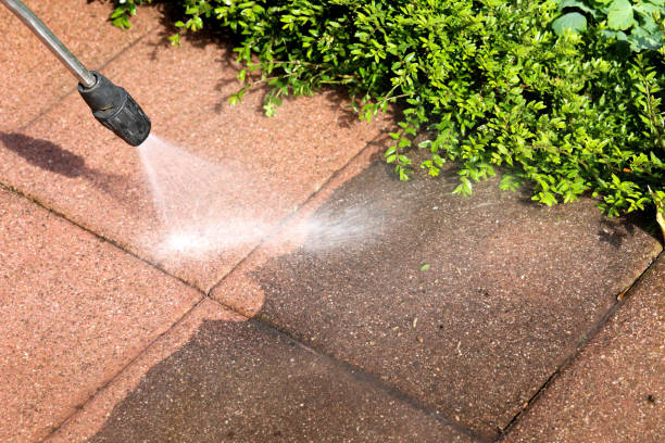 Best Local Pressure Washing Services  in Las Cruces, NM